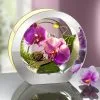 Beleuchtete Orchidee Im Glas 1 Beleuchtete Orchidee Im Glas -Kunst Textilpflanzen Verkäufe beleuchtete orchidee im glas farbe lavendel