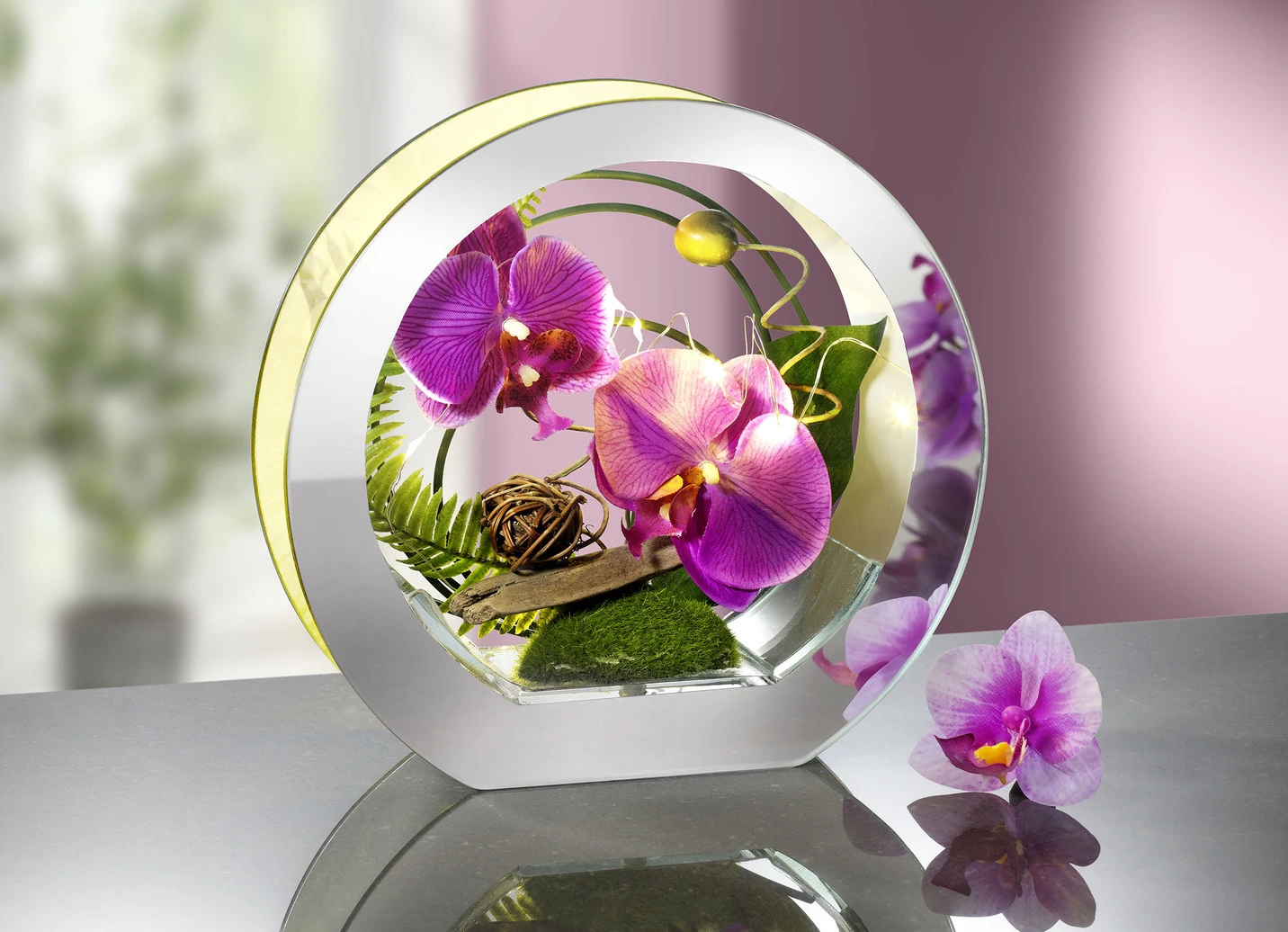 Beleuchtete Orchidee Im Glas 3 Beleuchtete Orchidee Im Glas
