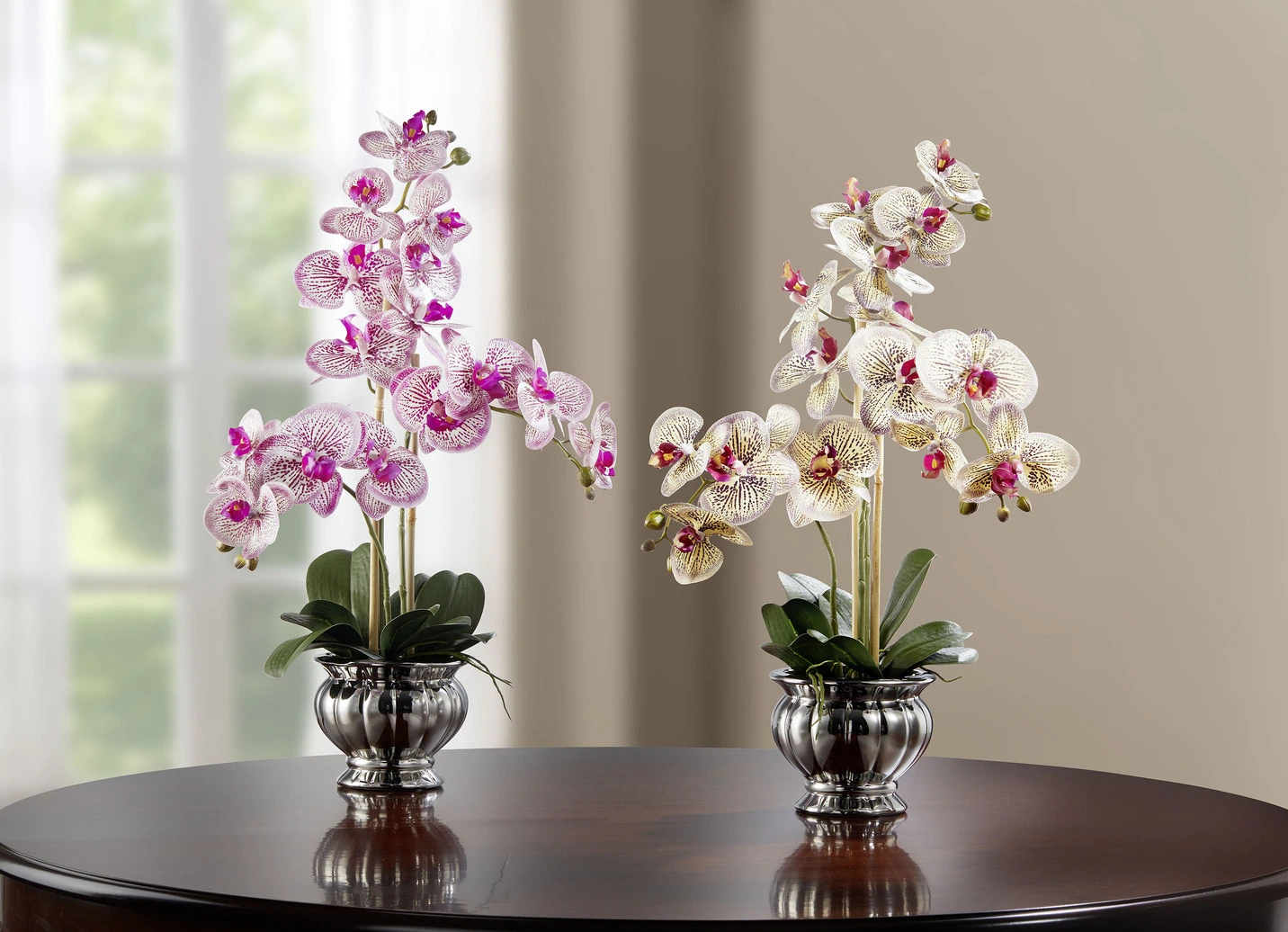 Farbenprächtige Orchidee Im Topf 4 Farbenprächtige Orchidee Im Topf – Bild 2
