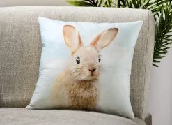 Kissenbezug In Samtoptik