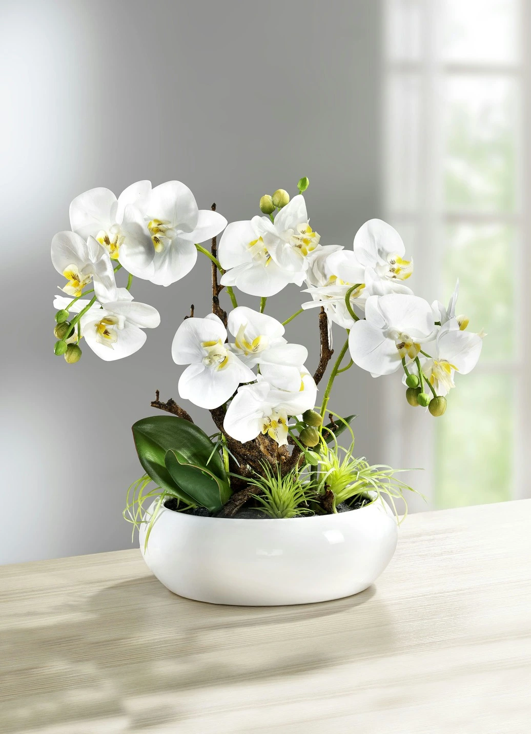 Orchidee Im Keramik-Topf 3 Orchidee Im Keramik-Topf