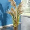 Pampasgras Im Kunststofftopf -Kunst Textilpflanzen Verkäufe pampasgras im kunststofftopf farbe gruen natur