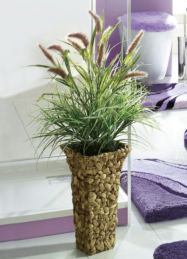 Schilfgras In Vase 3 Schilfgras In Vase